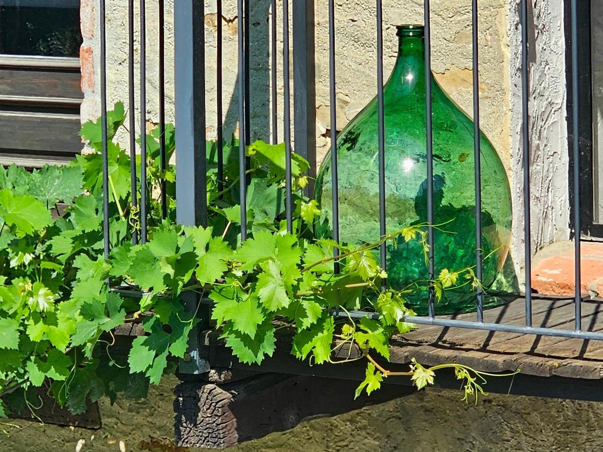 Bed and Breakfast Cascina Il Sogno Cossano Belbo Екстер'єр фото